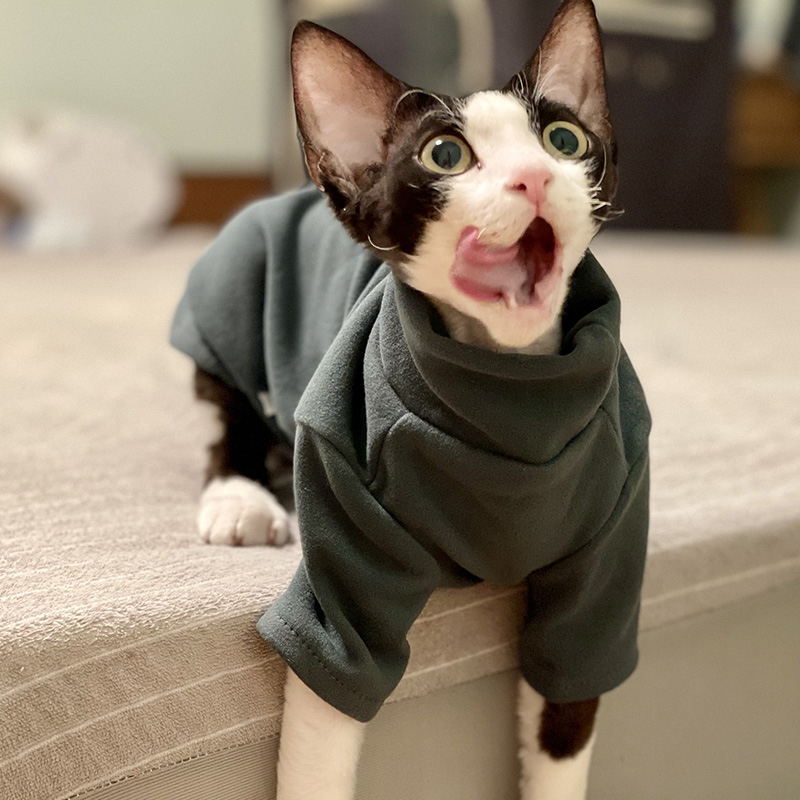 Winter Clothing For Toddlers - Sphynx Kedi Giysileri Bebek Yumuşak Pamuk