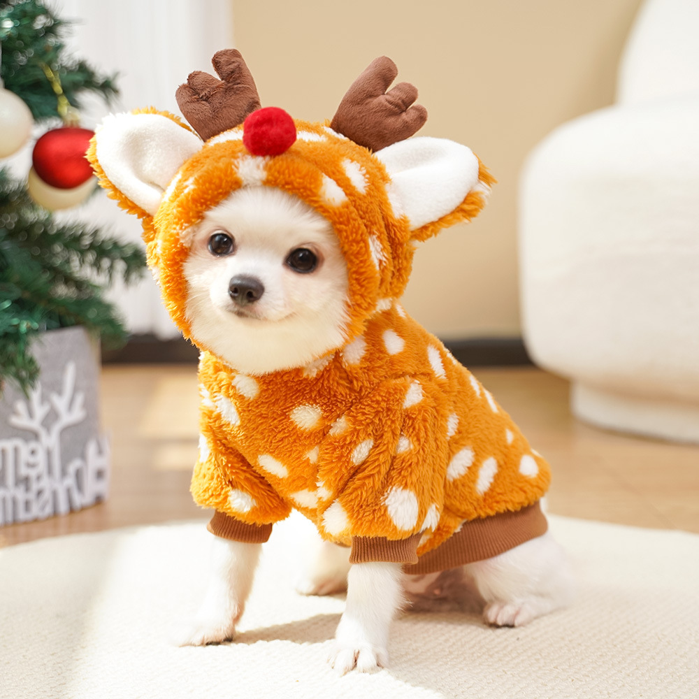 Sevimli Noel Geyiği Evcil Hayv - Winter Clothing Must Haves incelemesi ve fiyatı