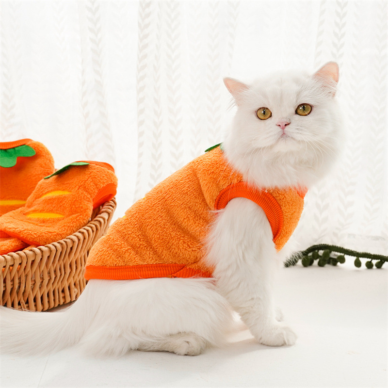 Evcil hayvan giysileri kış sıc - Winter Clothing For Toddlers incelemesi ve fiyatı