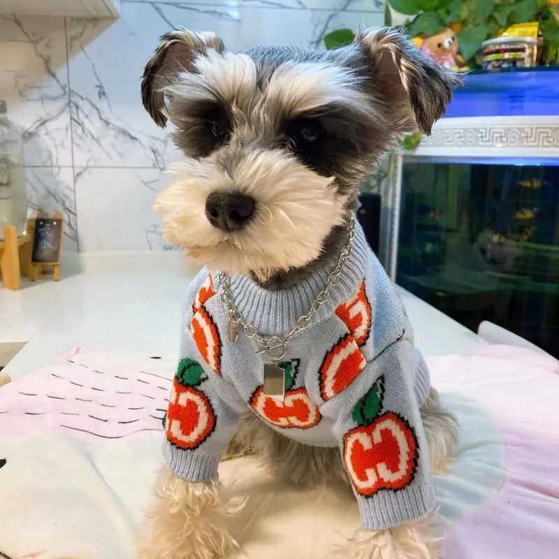 Harfli Kazak Evcil Köpek Kıyaf - Winter Clothing For Toddlers incelemesi ve fiyatı