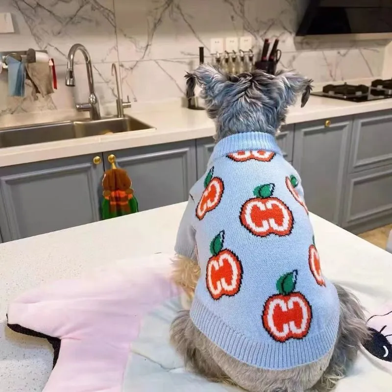 Harfli Kazak Evcil Köpek Kıyaf - Winter Clothing For Toddlers incelemesi ve fiyatı