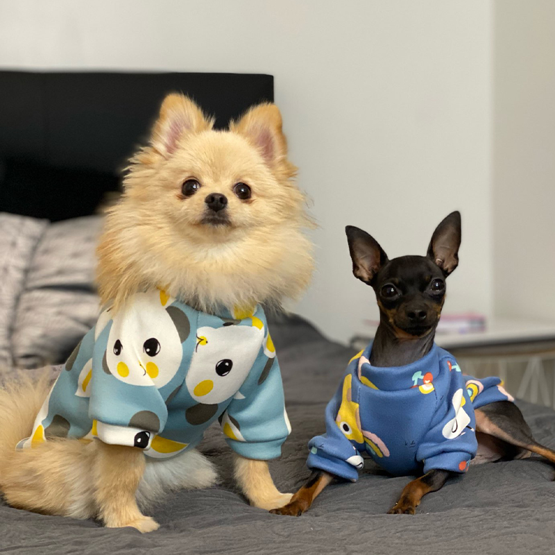Xs Küçük Köpekler için Köpek G - Winter Clothing For Toddlers incelemesi ve fiyatı