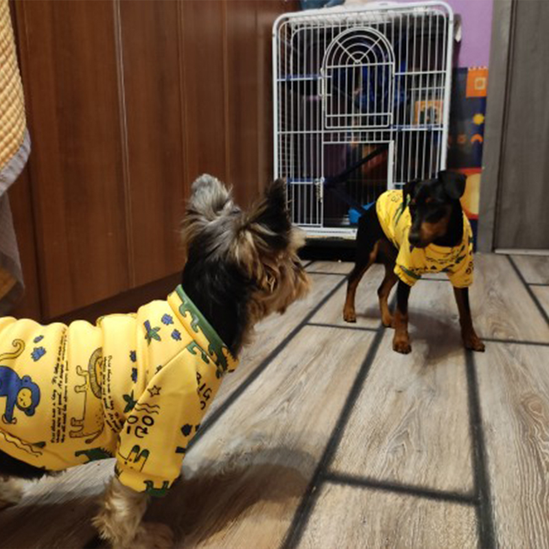 Xs Küçük Köpekler için Köpek G - Winter Clothing For Toddlers incelemesi ve fiyatı